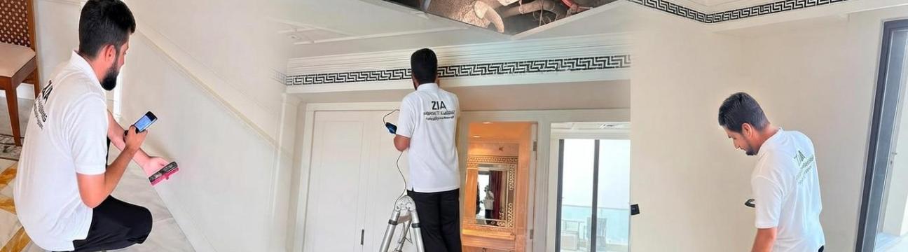 Property  Inspection
