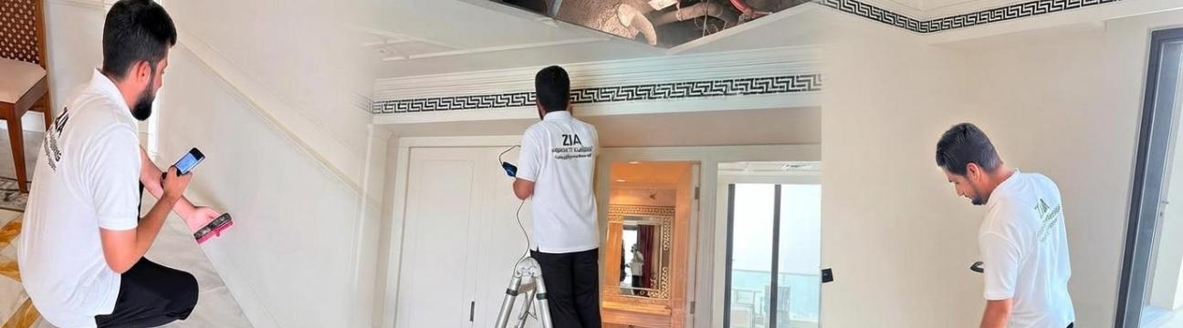 Property  Inspection